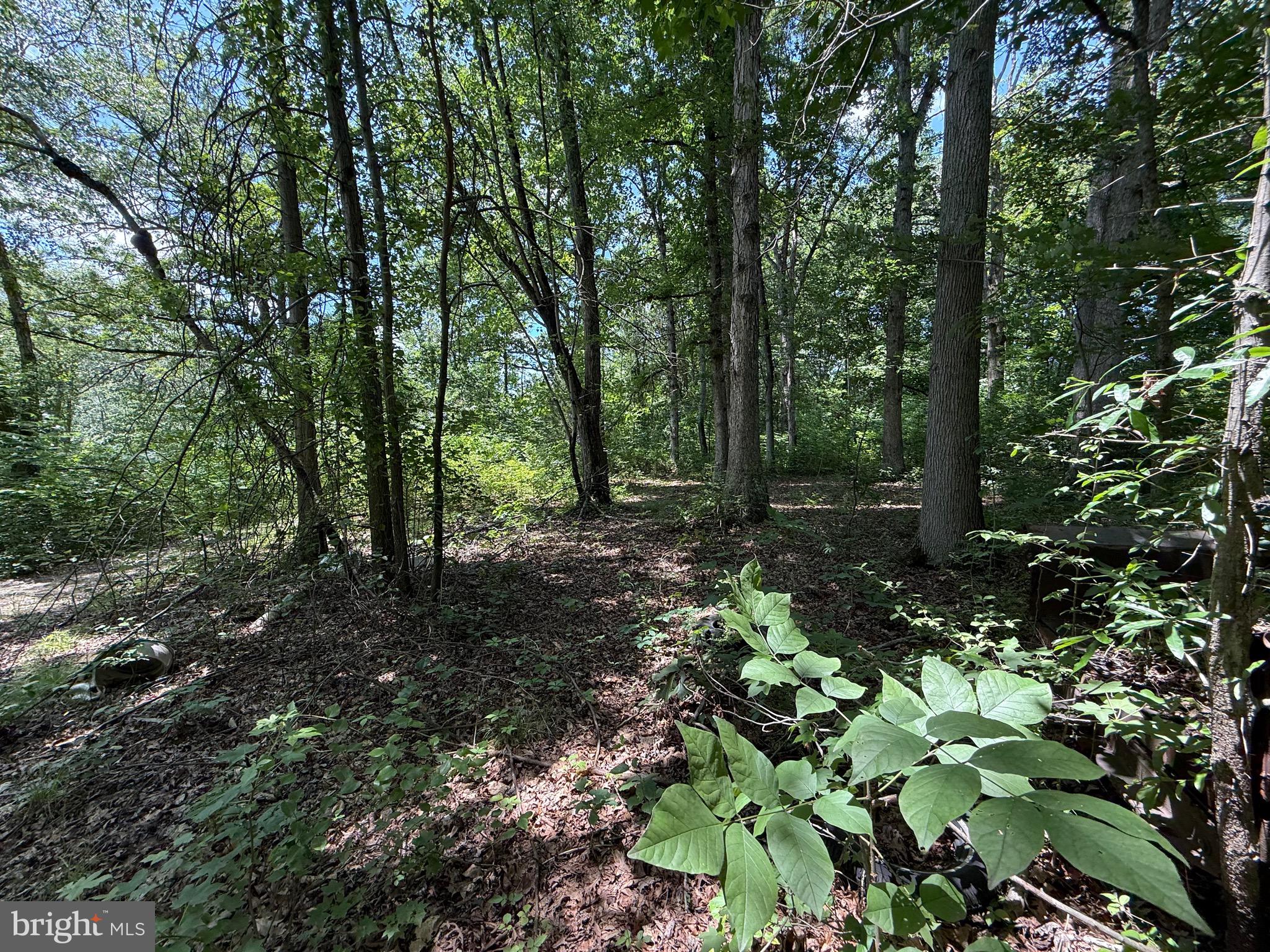 1533 MITCHELL LANE A