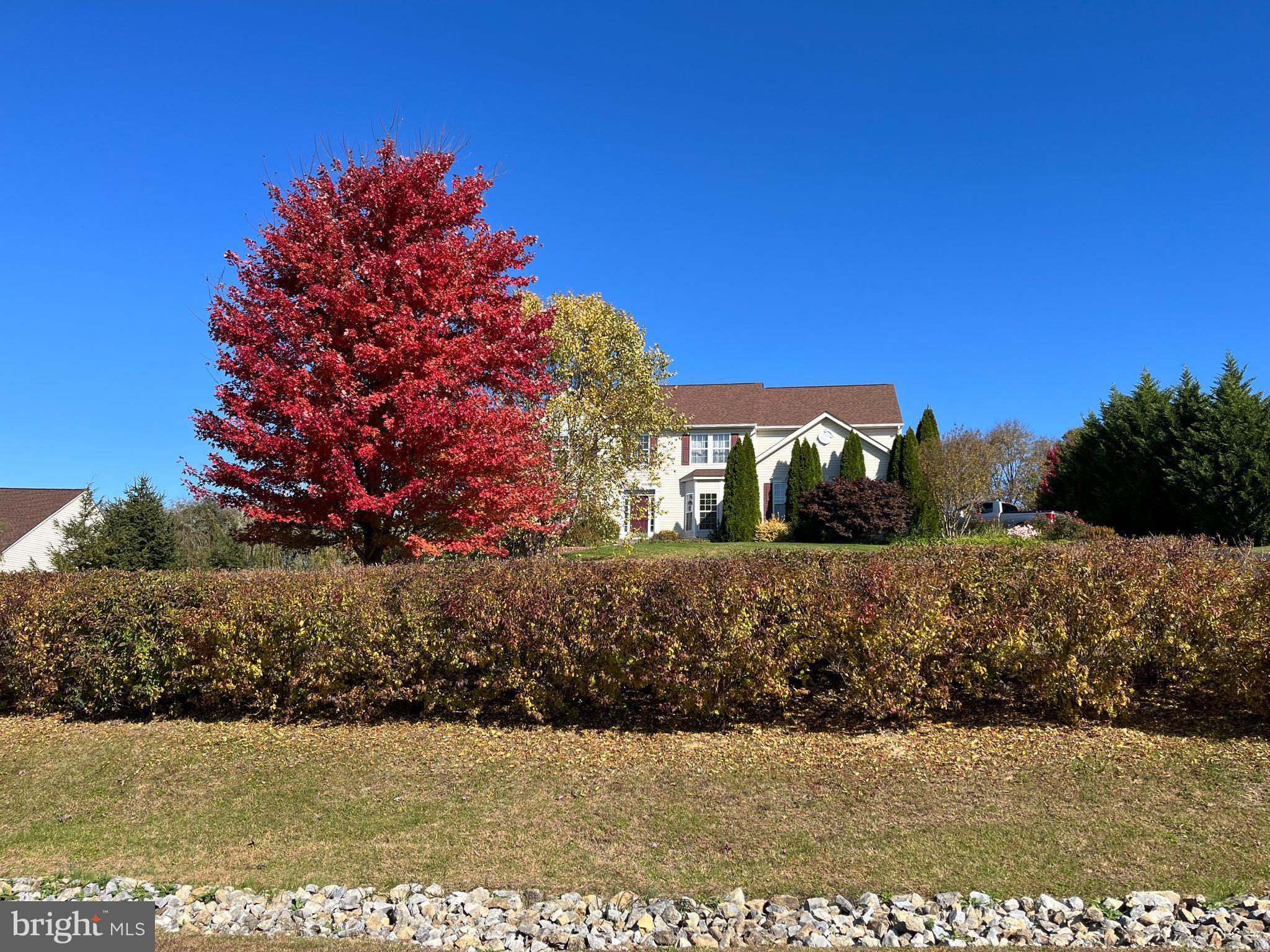 SPRUCE HILL ESTATES - Residential
