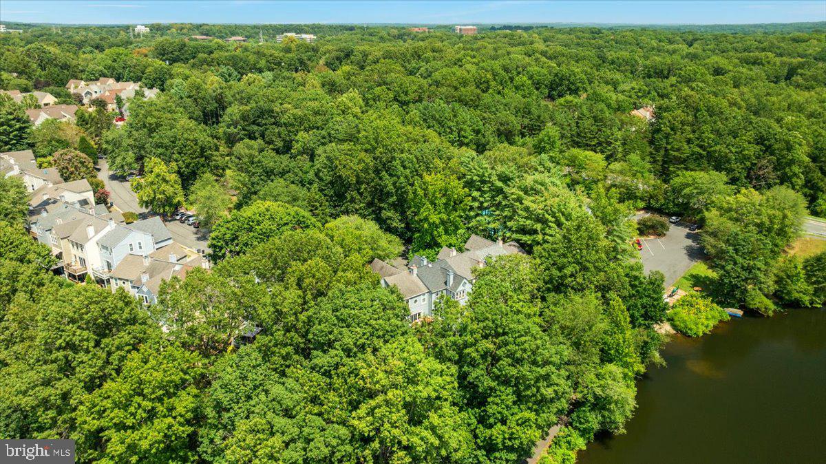 RESTON - Residential Lease