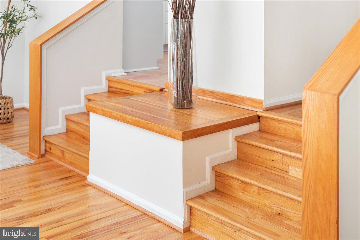 RESTON - Residential Lease