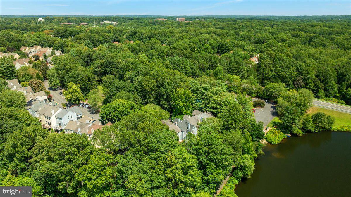 RESTON - Residential Lease