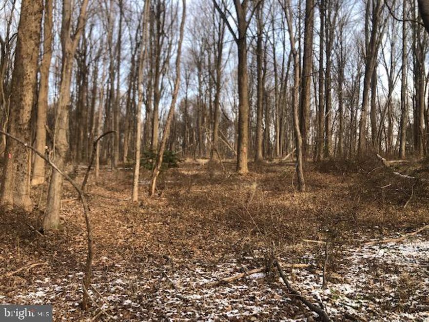 Amazing 2 acre buildable lot surrounded by an additional 5.92 acres of forest conservation (Seneca State Park) providing the highest level of privacy and natural beauty. This private wooded 7.92 acre lot awaits your dream home. Over $100,000 was spent in the preparation of this lot for final build. Forest Conservation, Sediment Control, Right of Way, Preliminary Septic, Well, etc. have already been addressed. Work was conduct by Landmark Engineers and Dufief Builders. Should buyer choose to use both companies, significant money could be saved.
Prime location overlooking Bretton Woods Country Club, moments to Riley’s Lock and the C&O Canal, under 15 minute drive to Potomac Village Shopping Center & the Kentlands. 2 miles to Rocklands Winery. 3 miles to Harris Teeter. 10 minutes to Glenstone Museum. Beautiful lot, wooded views. Come and walk the lot to start building your dream.