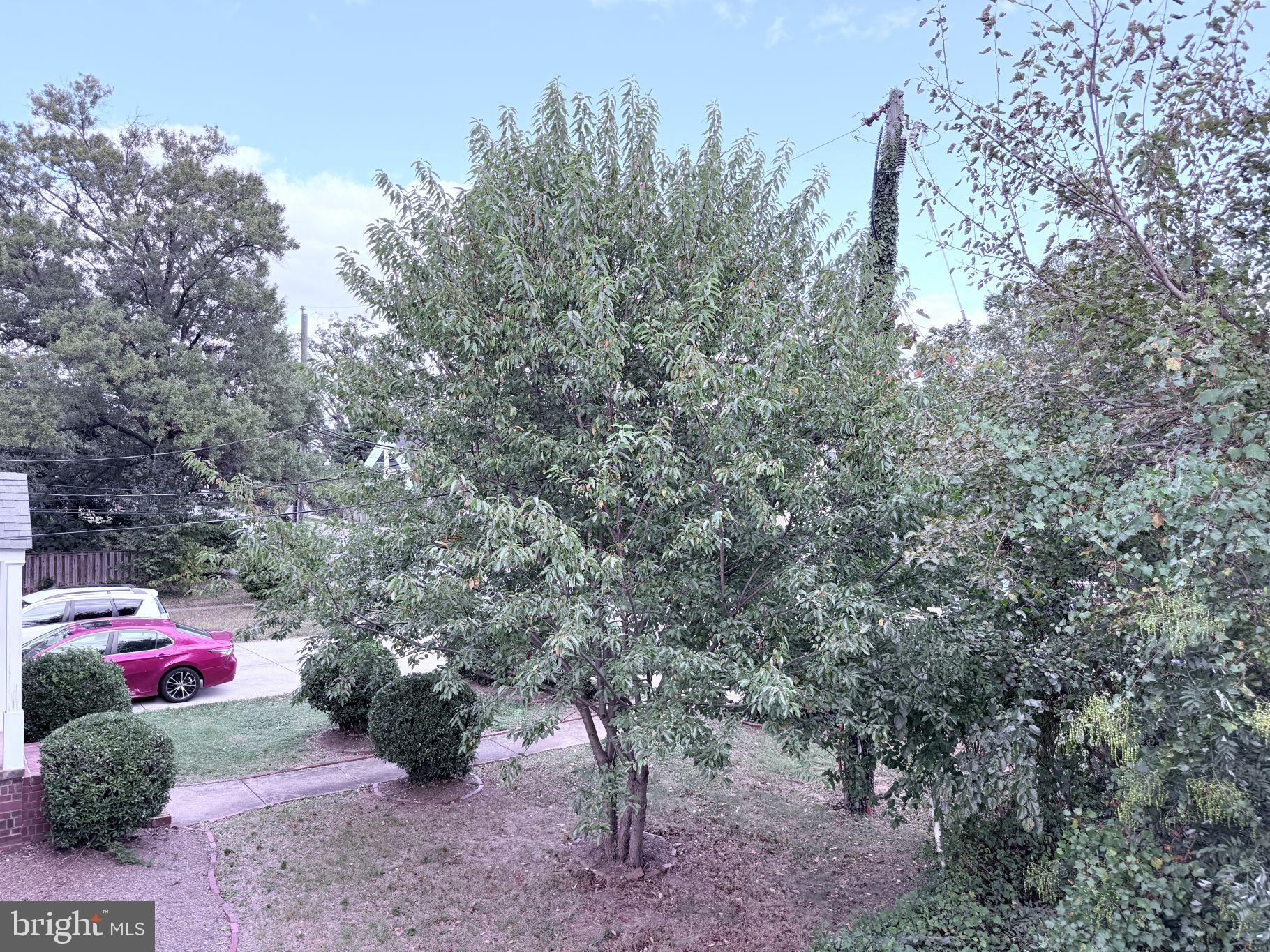 BEDFORD PARK - Residential Lease