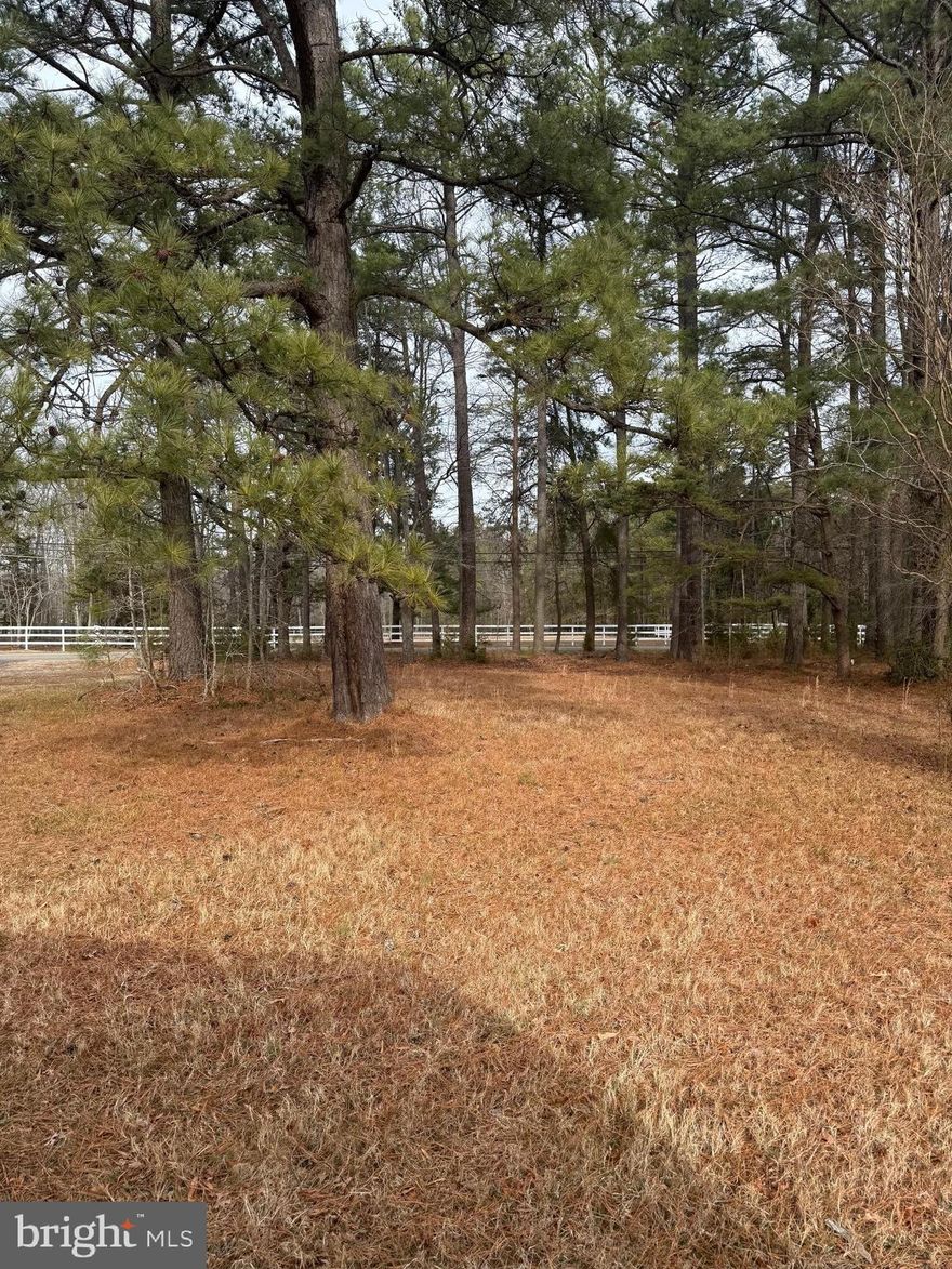 Discover the opportunity to own a parcel of land in a well-established area of Brandywine, Maryland. Located at 4711 Danville Road, this property offers a versatile setting suitable for a variety of permitted uses, subject to county zoning and approval. The lot provides convenient access to major commuter routes, local shopping, dining, and everyday services, making it a practical location for future development or long-term investment.

The property’s setting allows for flexibility in planning while offering proximity to both suburban conveniences and surrounding open spaces. Buyers are encouraged to conduct their own due diligence regarding zoning, utility availability, environmental considerations, and any applicable building or use requirements.

This land presents a valuable opportunity for those seeking to build or invest in a growing area of Prince George’s County. Buyer to verify all details to their satisfaction.