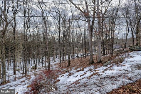 Lot 679 RACCOON COURT BUSHKILL PA 18324