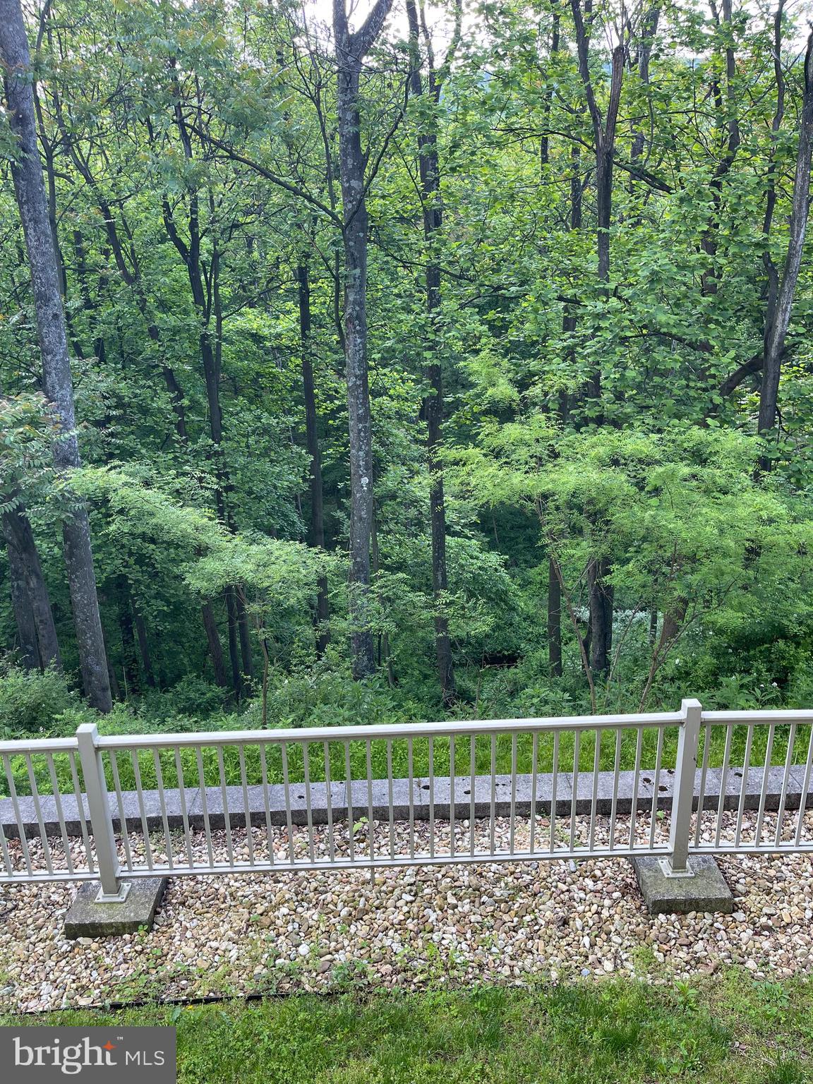 WHITETAIL RESORT COMMUNITY - Residential