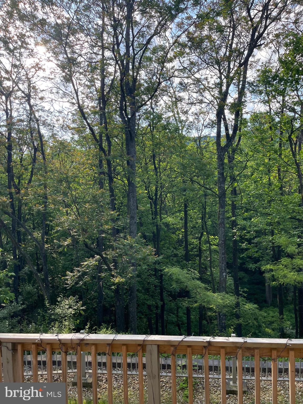 WHITETAIL RESORT COMMUNITY - Residential