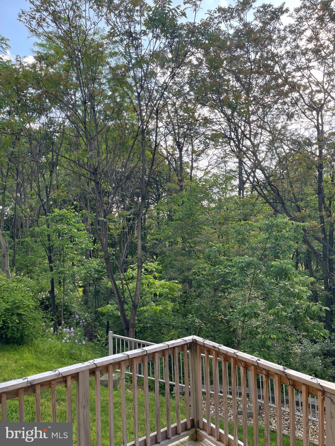 WHITETAIL RESORT COMMUNITY - Residential