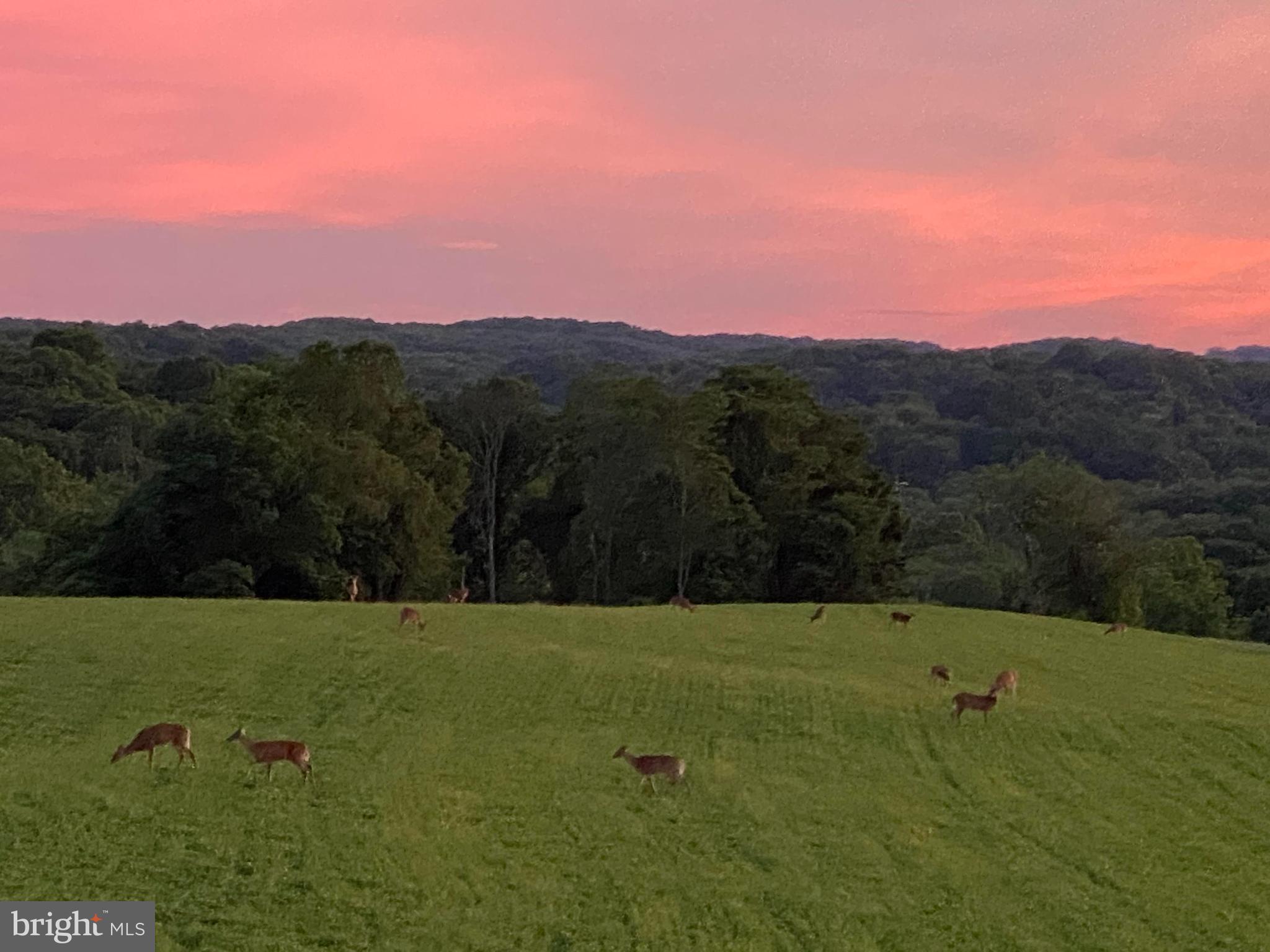 LONGVIEW AT WYLIE - Residential