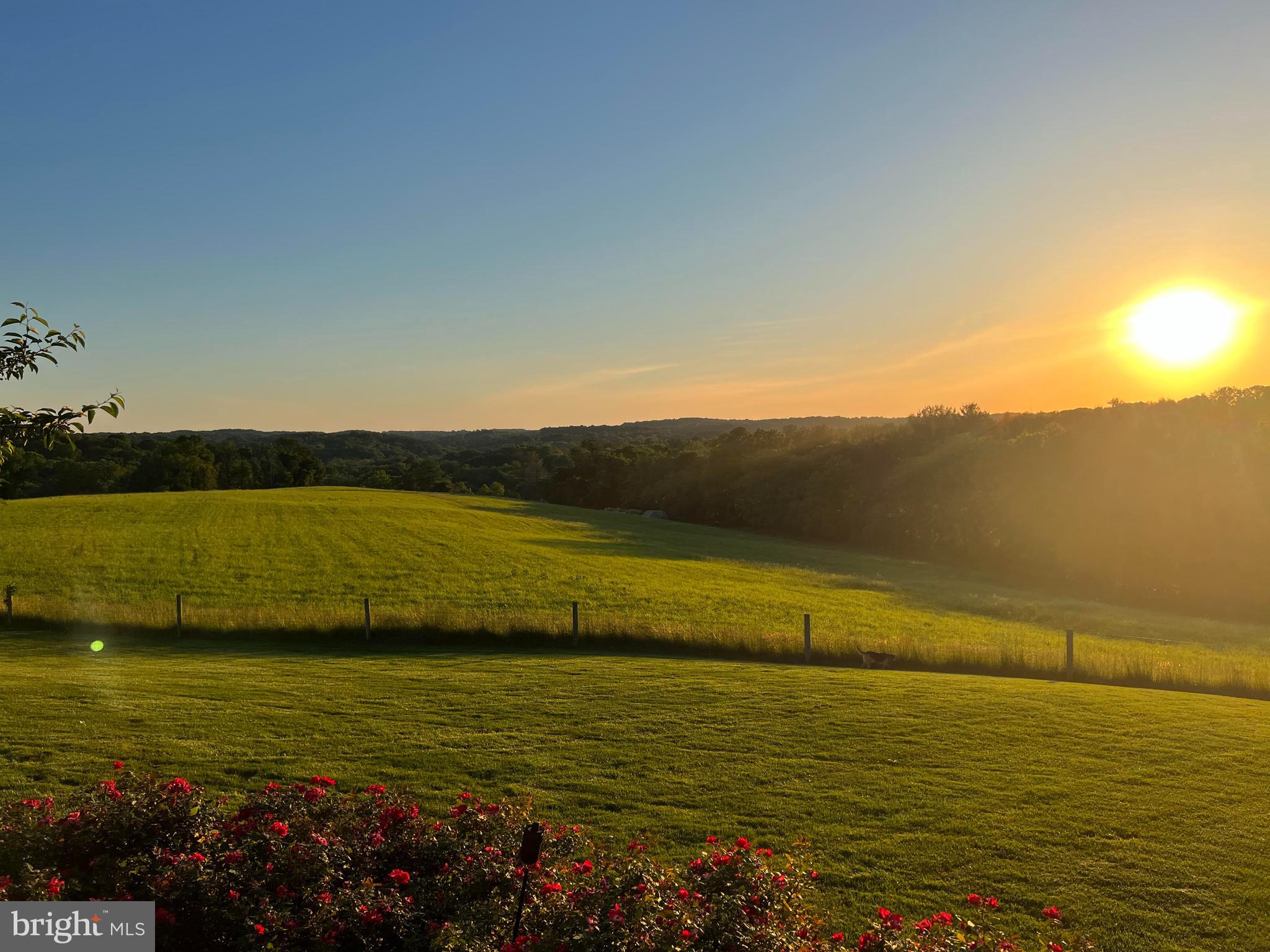 LONGVIEW AT WYLIE - Residential