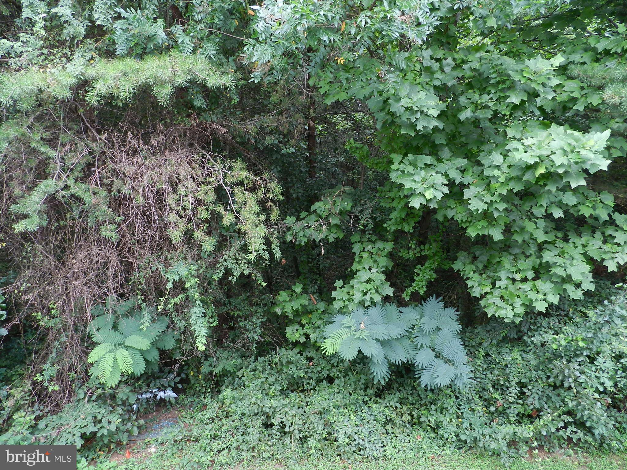 DEVILS REACH CONDOS - Residential