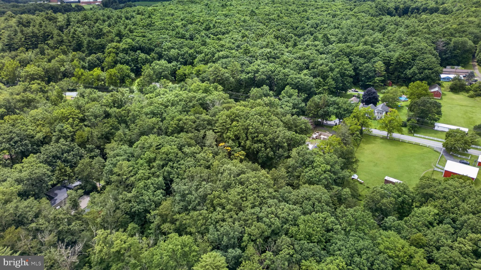 708 BURGER HOLLOW ROAD