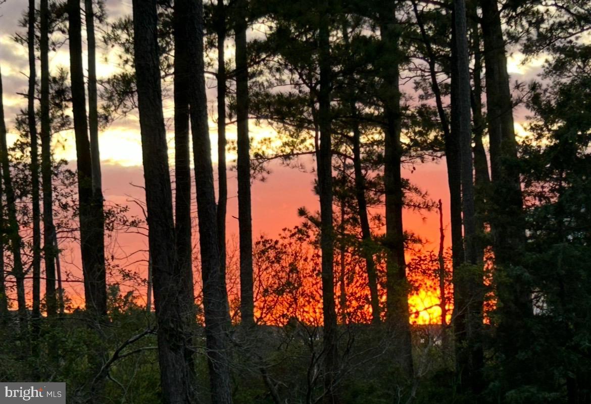 29244 PARK VIEW DRIVE