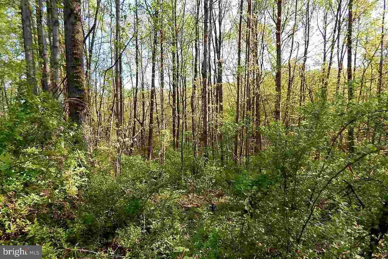 Into the woods...gently sloped, wooded parcel situated along a private road. Small stream runs through the bottom of parcel. Perfect property for a walk-out basement. Buyer to obtain a perc and probe.