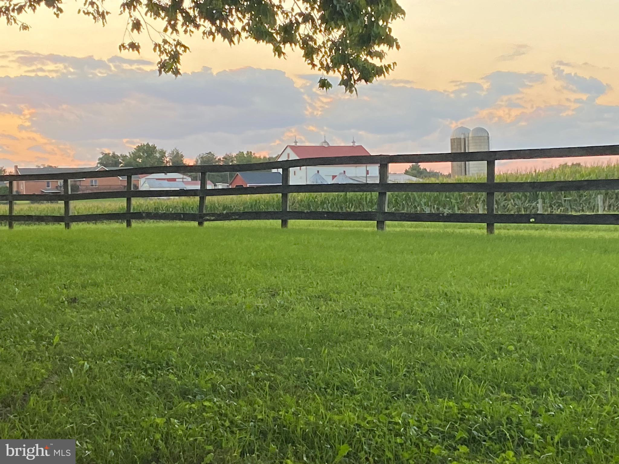 NONE AVAILABLE - Farm