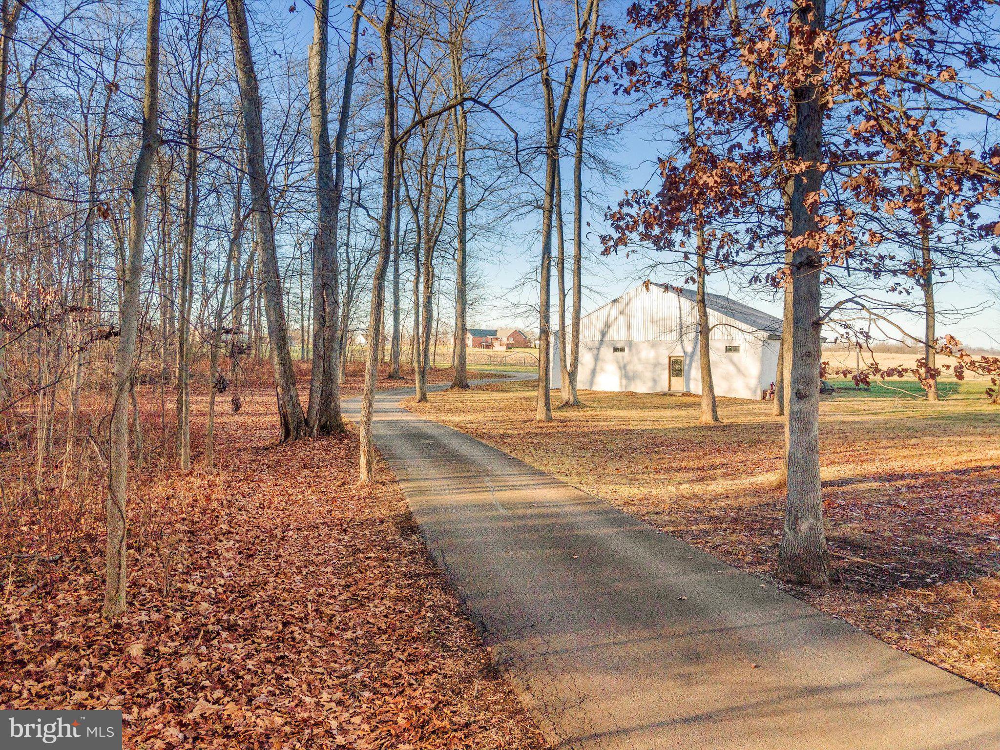 NONE AVAILABLE - Farm