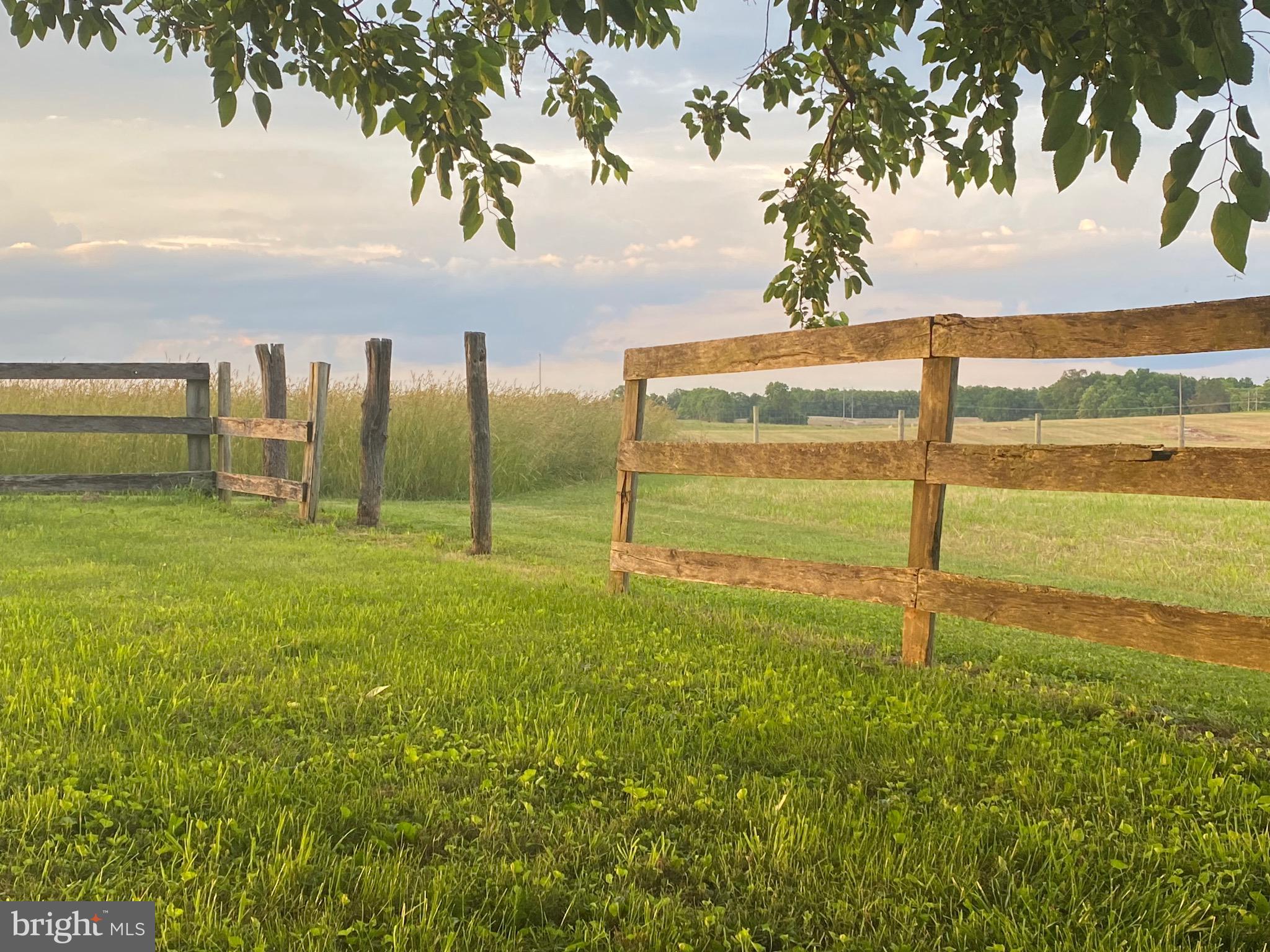 NONE AVAILABLE - Farm