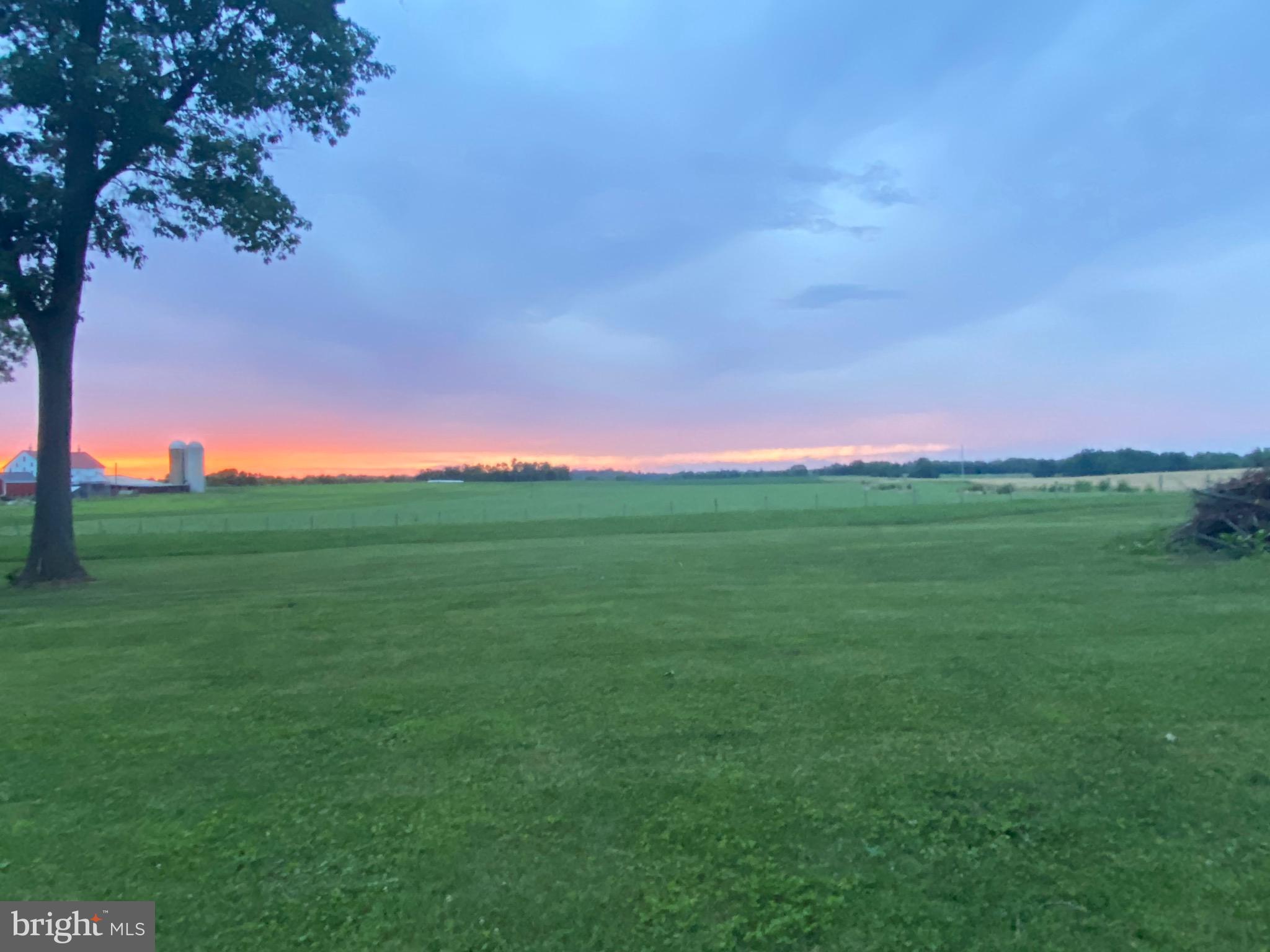 NONE AVAILABLE - Farm