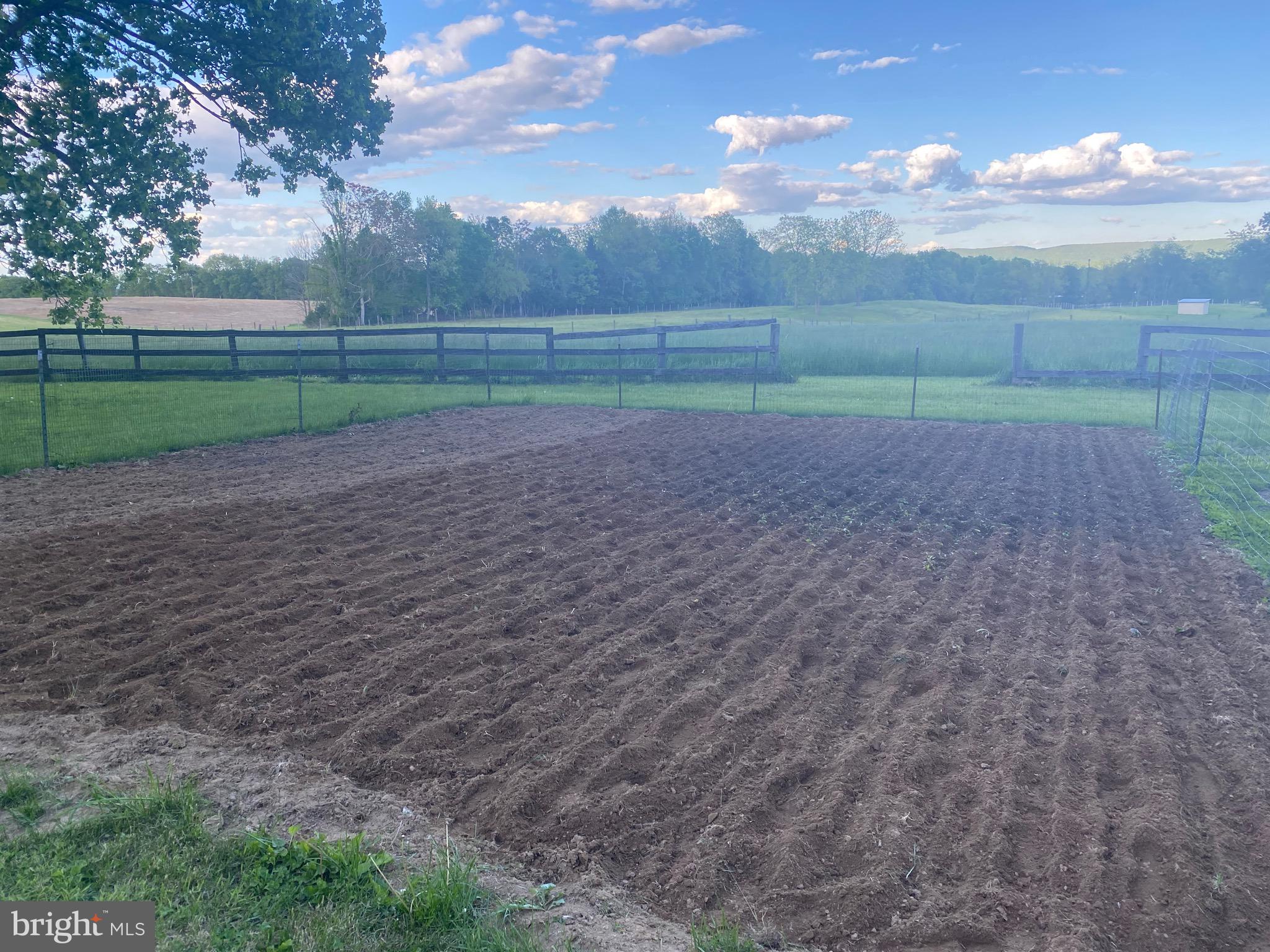 NONE AVAILABLE - Farm