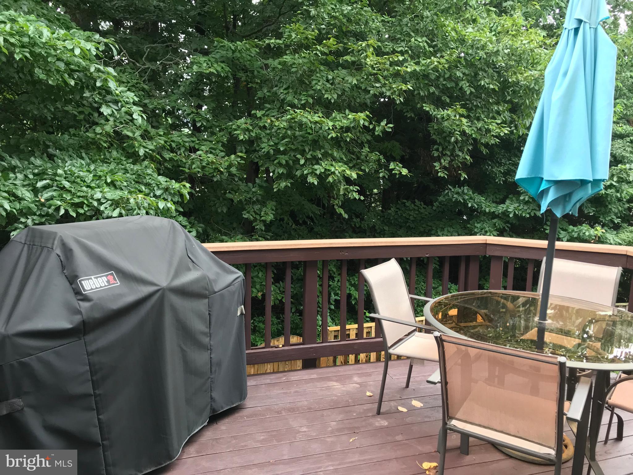 WEXFORD - Residential Lease