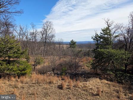 CABIN AT CAPON BRIDGE - Residential