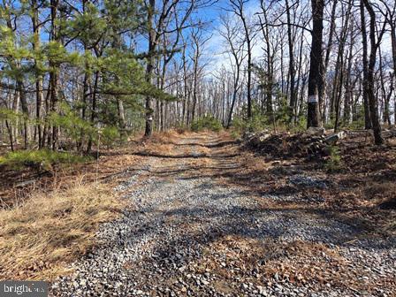 CABIN AT CAPON BRIDGE - Residential