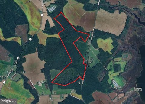 Vacant Land For Sale - Greenbackville Road<br/> STOCKTON, MD 21864