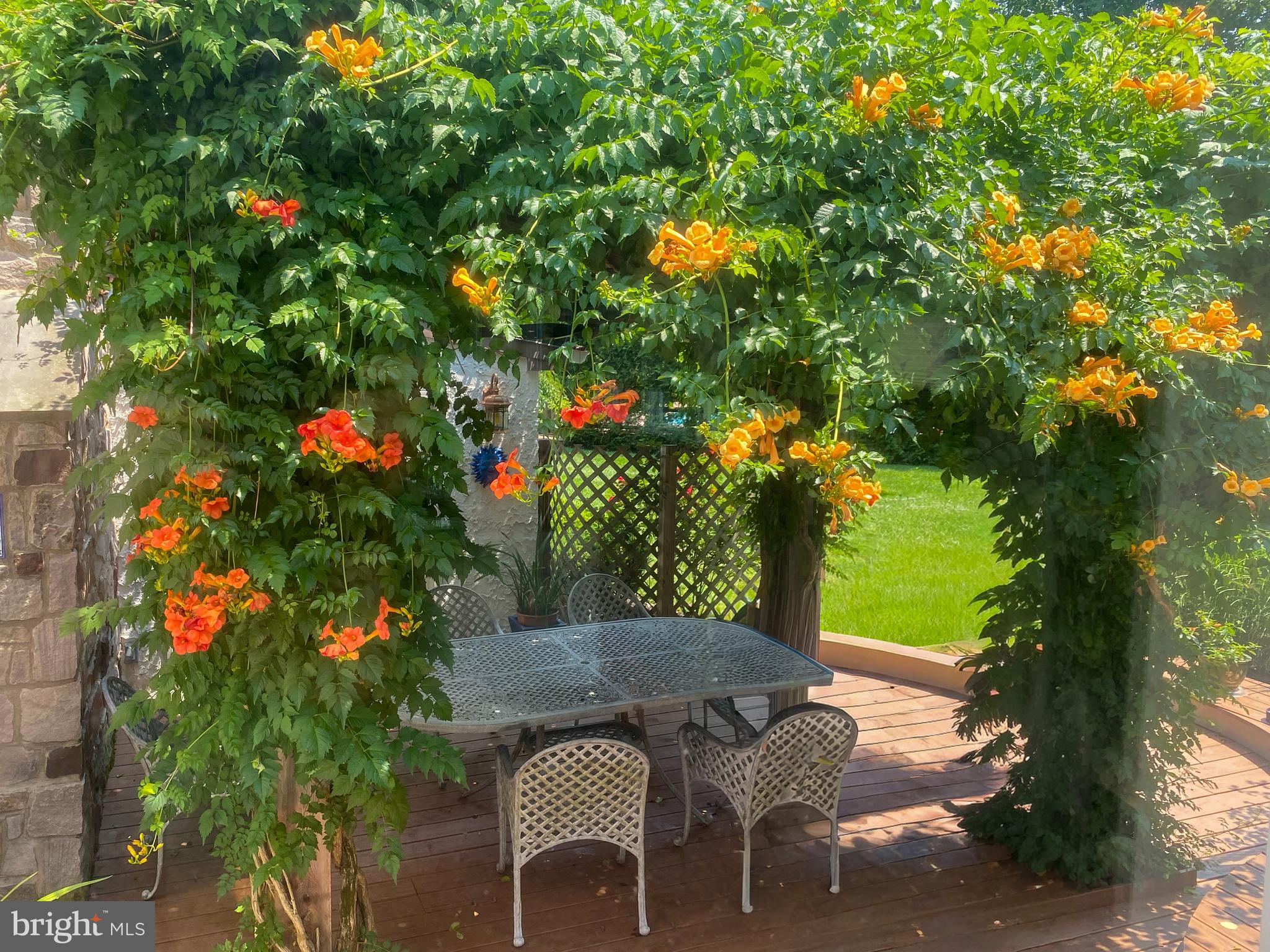 BUCKLAND VALLEY FA - Residential