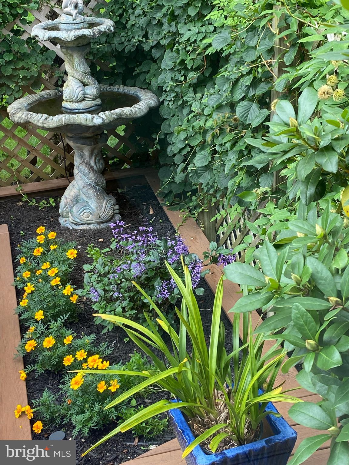 BUCKLAND VALLEY FA - Residential