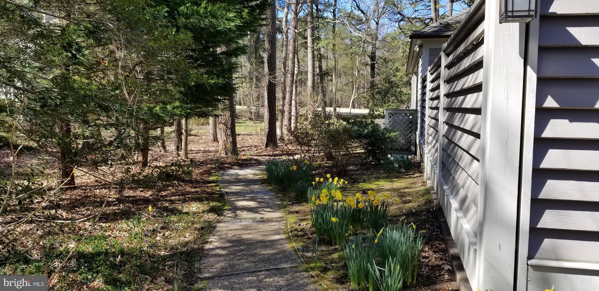 COTTAGES AT GOLDEN EAGLE - Residential
