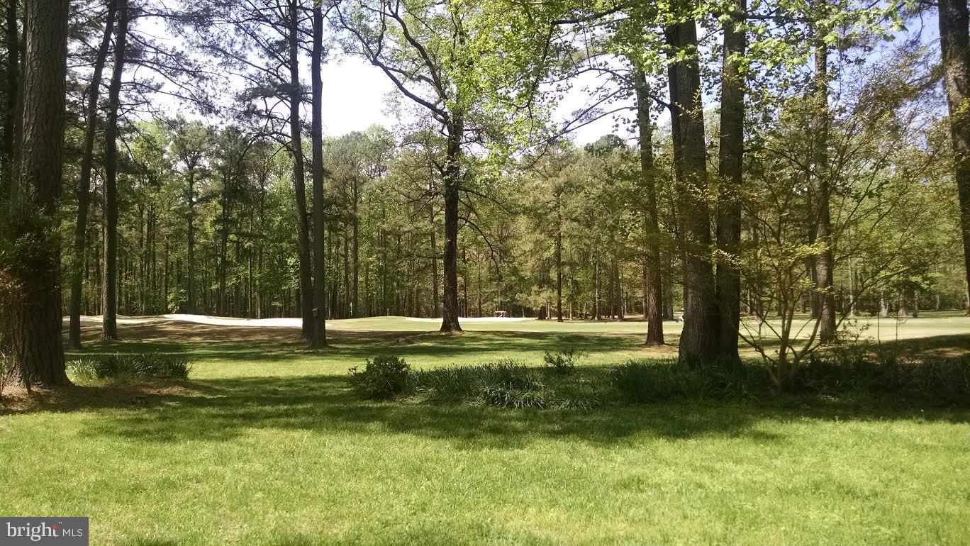 COTTAGES AT GOLDEN EAGLE - Residential