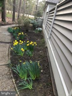 COTTAGES AT GOLDEN EAGLE - Residential