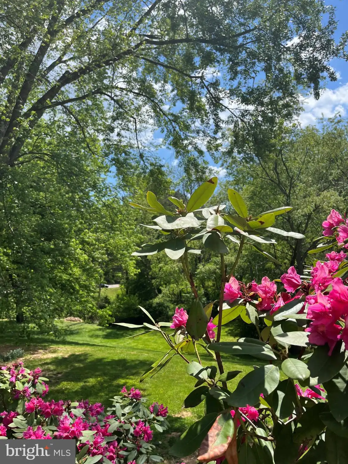 Additional image 88 of 517 Tanglewood Drive, Sykesville, MD 21784