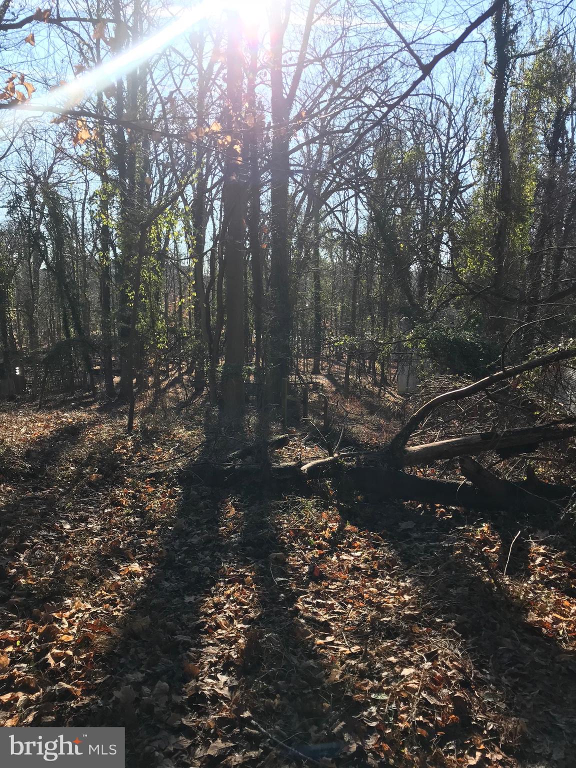 MOUNT WASHINGTON - Residential