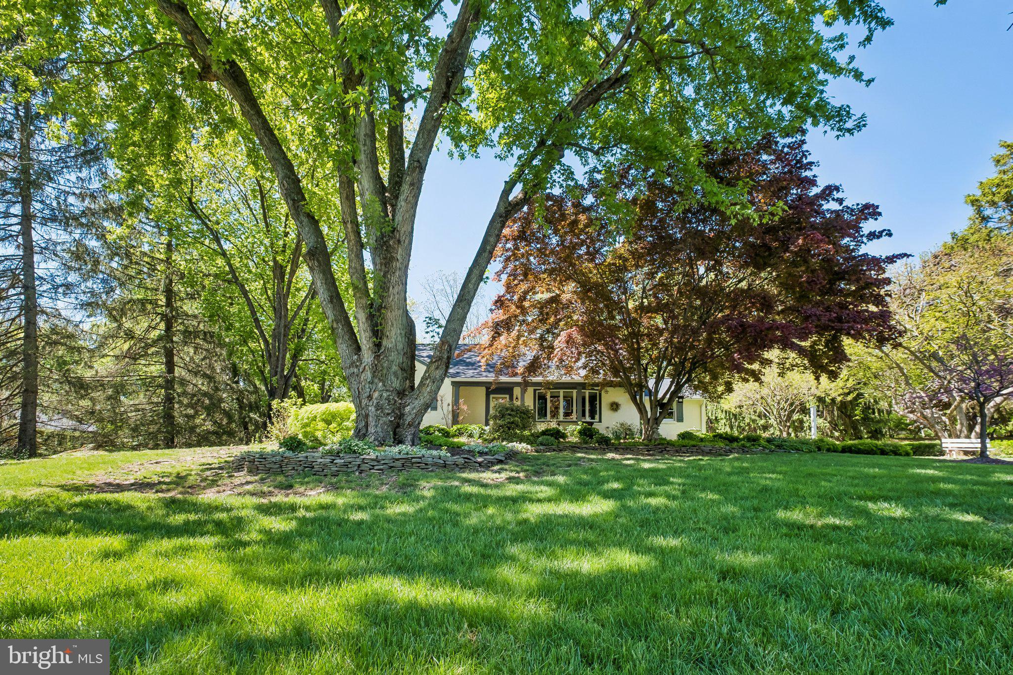 HAMILTON PARK - Residential