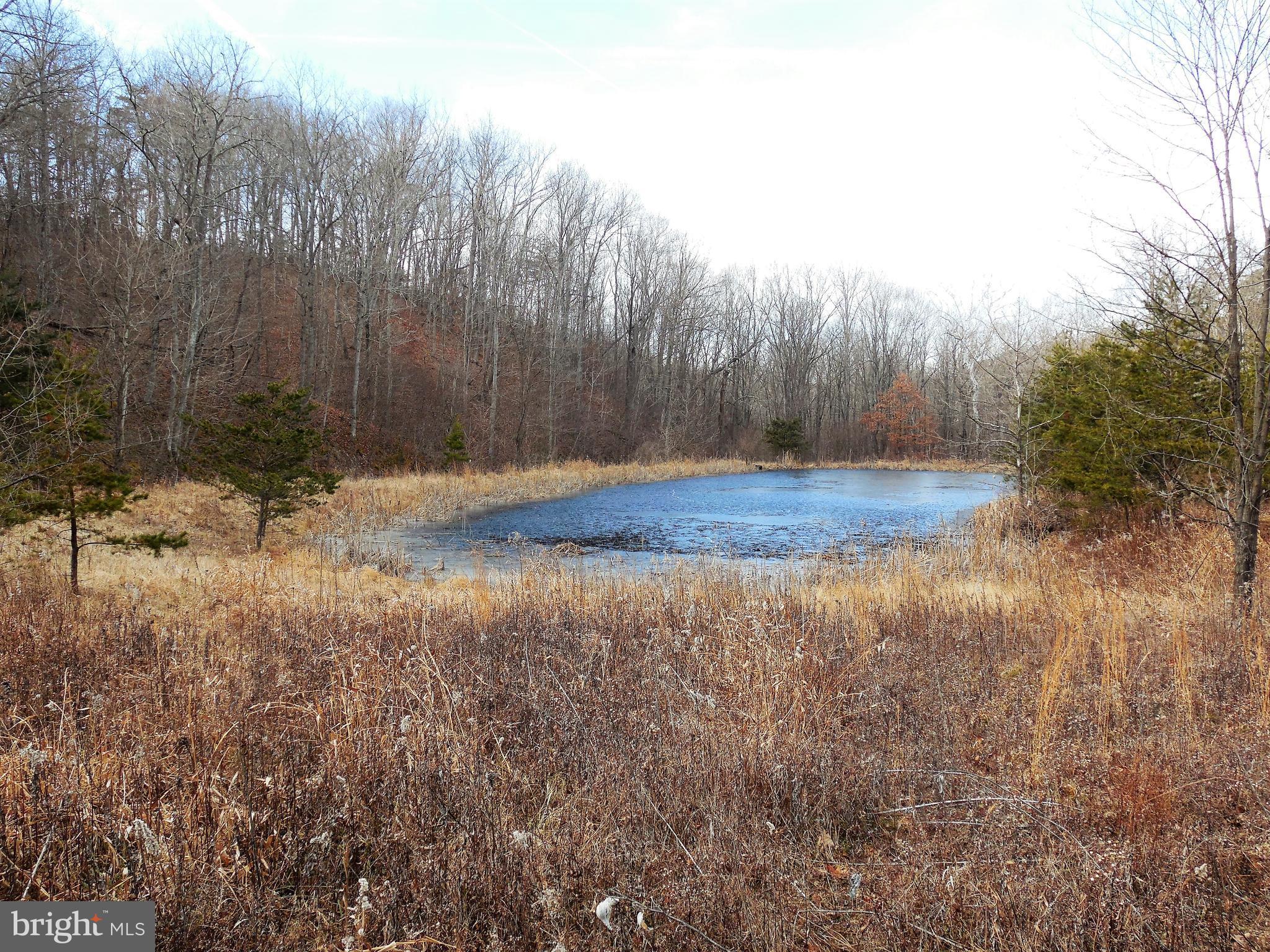 LONG PASTURE RUN - Land