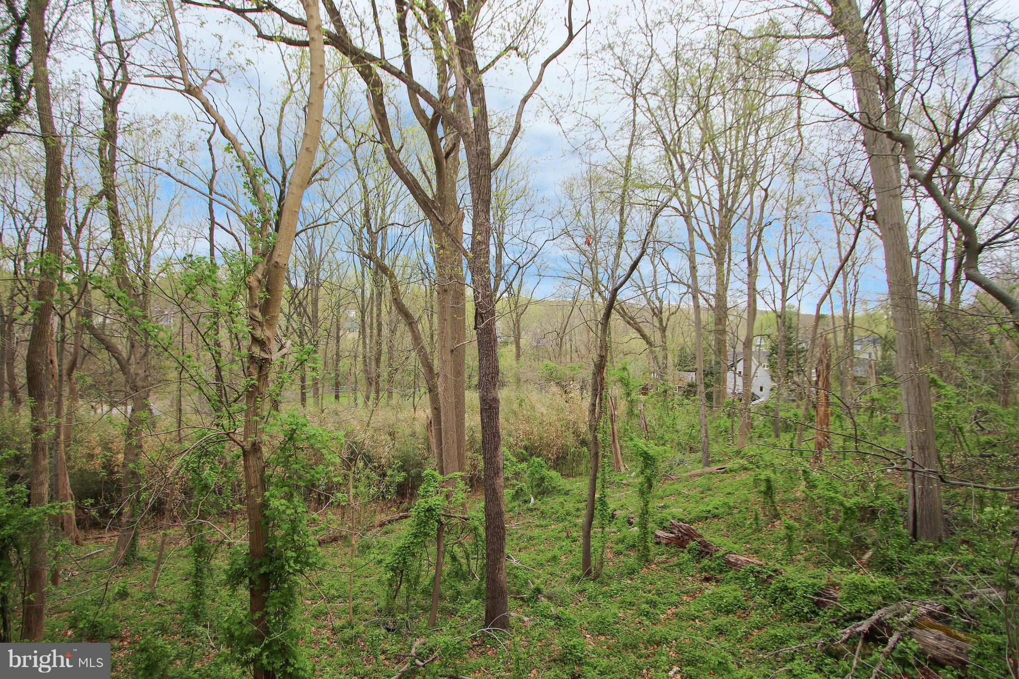 BROOKMONT - Residential