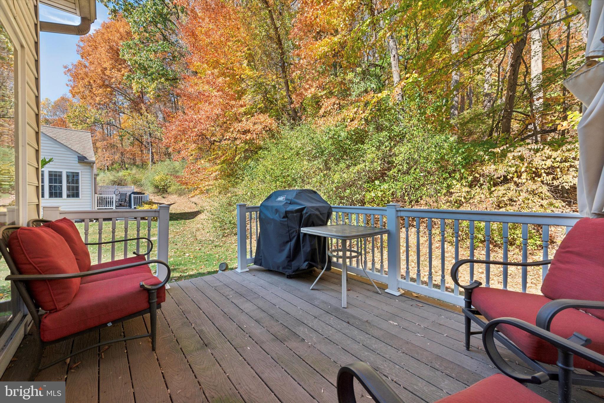 THE WOODS AT ROCK RAYMOND - Residential