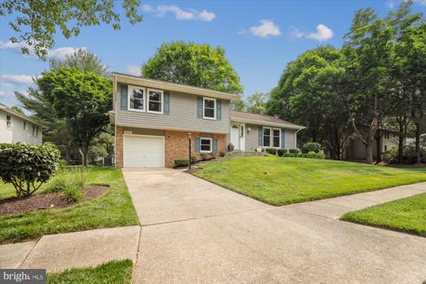 10030 CAMBRIC COURT COLUMBIA MD 21046