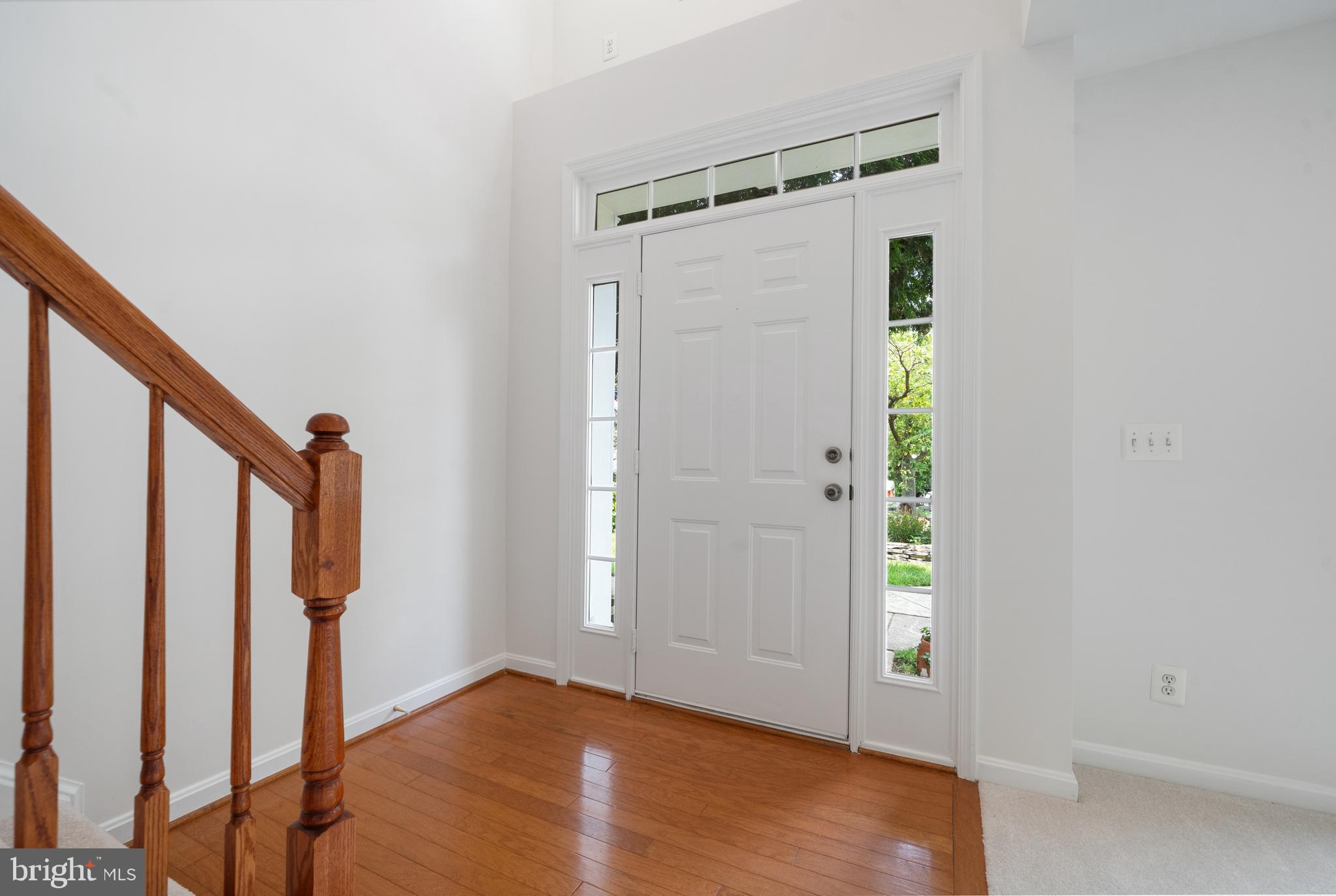 3858 DOMINION MILL DRIVE