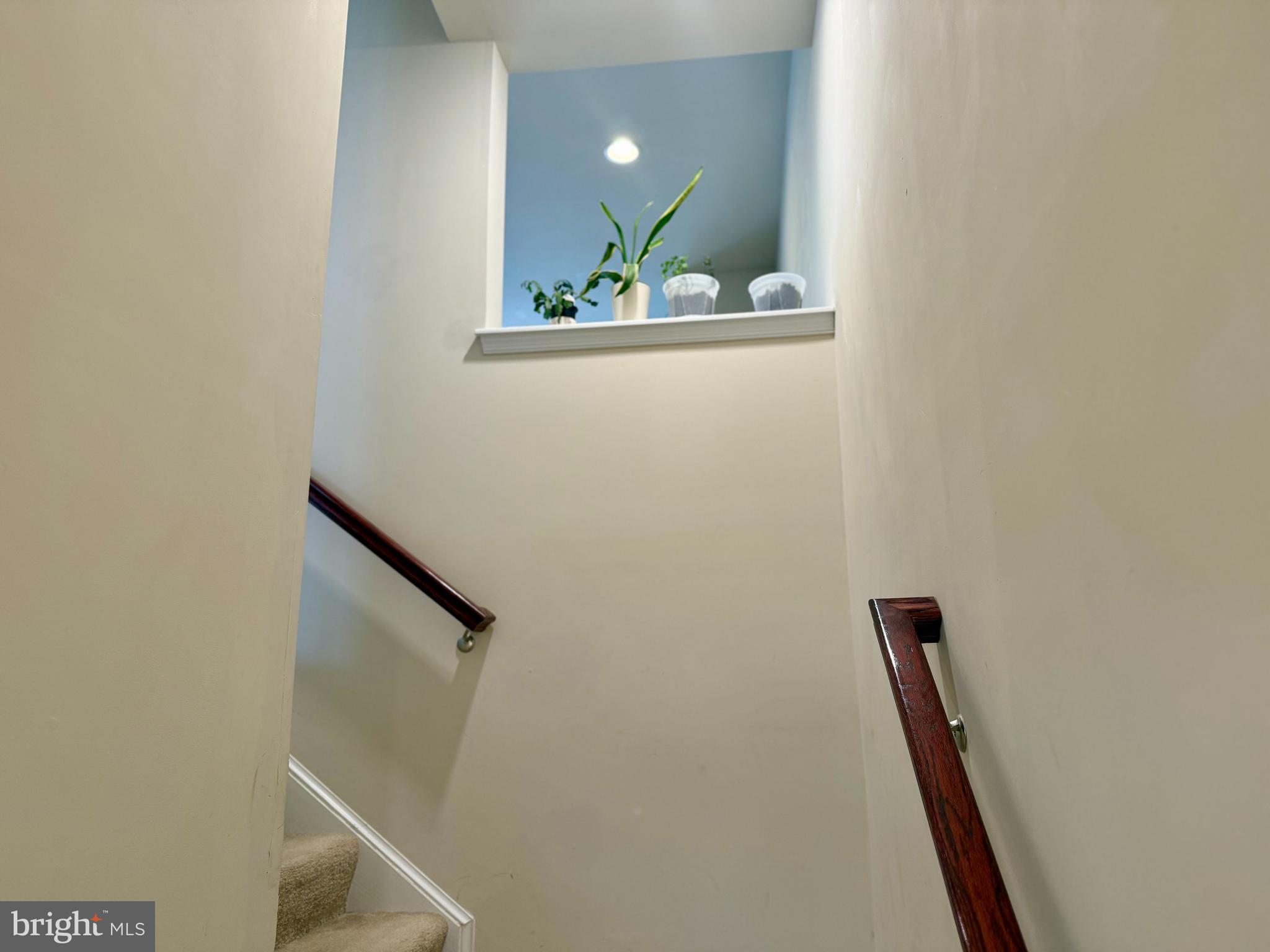 THE TOWNES AT TASKER - Residential