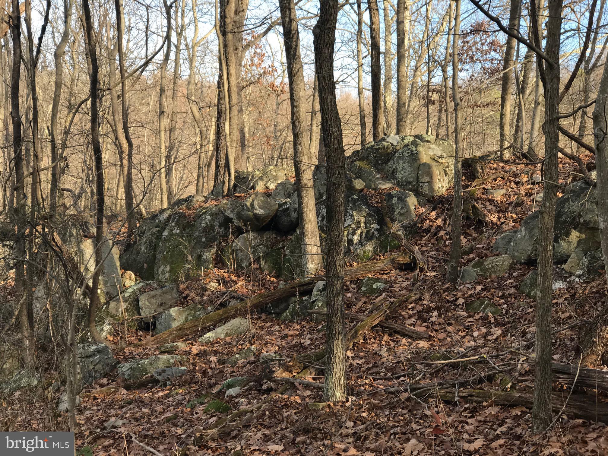 LOT 2M WHITETAIL LANE