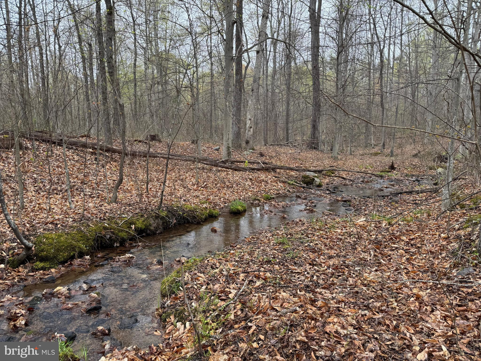 LOT 2M WHITETAIL LANE
