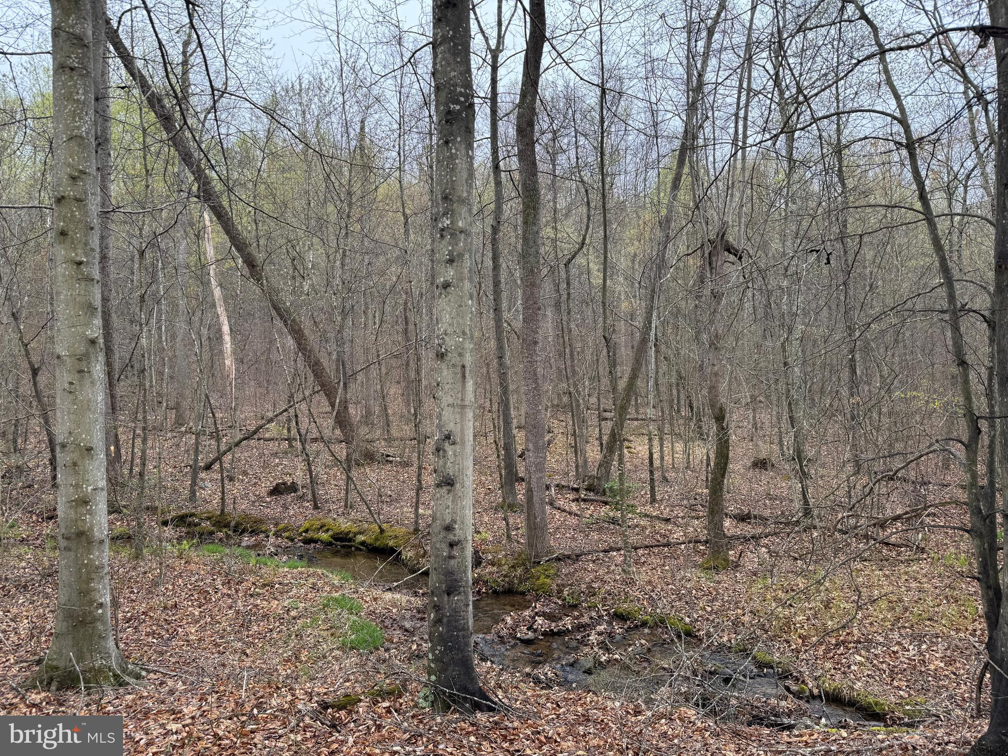 LOT 2M WHITETAIL LANE
