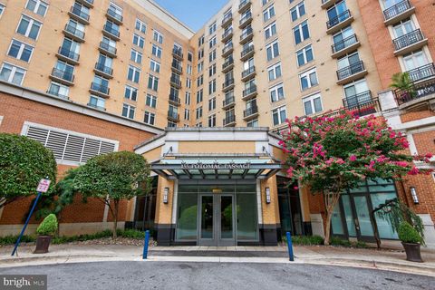 155 POTOMAC PSGE 806 NATIONAL HARBOR MD 20745