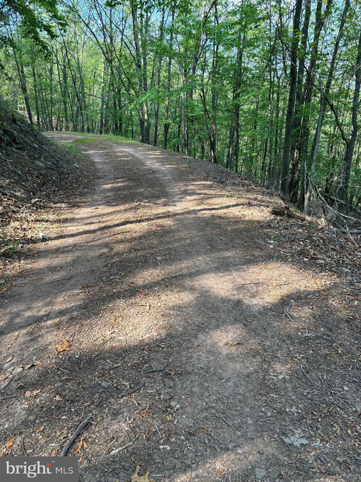 VALLEY HIGH TIMBER FARMS - Land