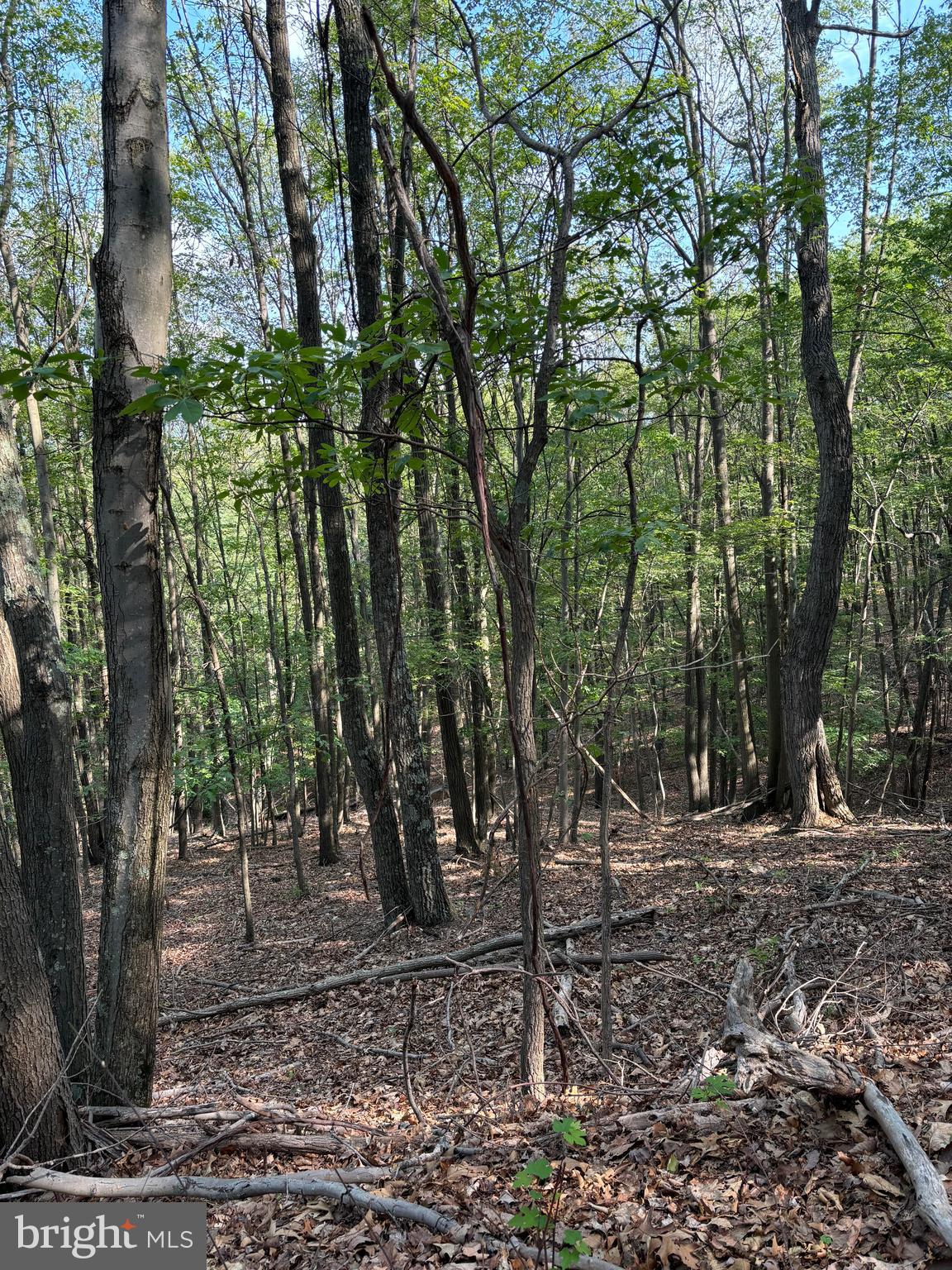 VALLEY HIGH TIMBER FARMS - Land