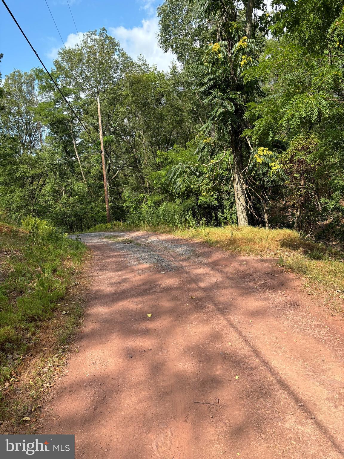 VALLEY HIGH TIMBER FARMS - Land