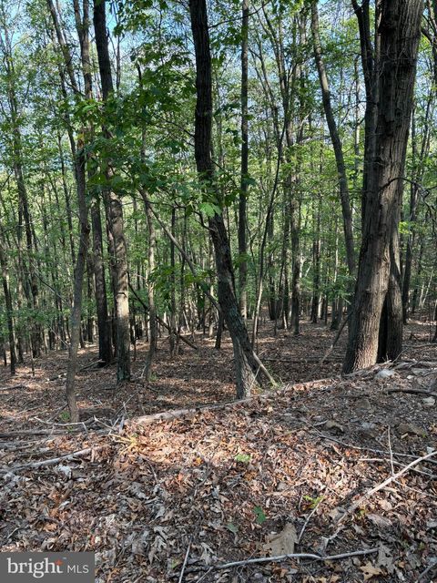 Vacant Land For Sale - 699 Chickloon Lane<br/> GREAT CACAPON, WV 25422
