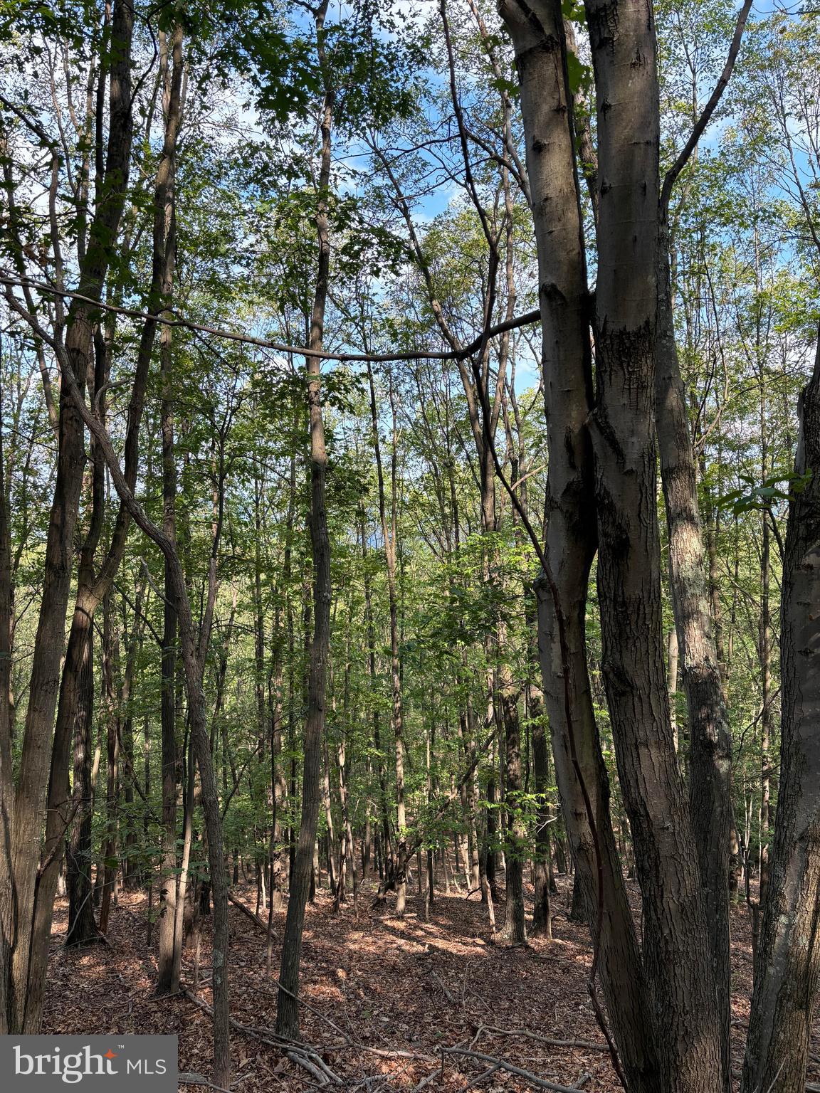VALLEY HIGH TIMBER FARMS - Land